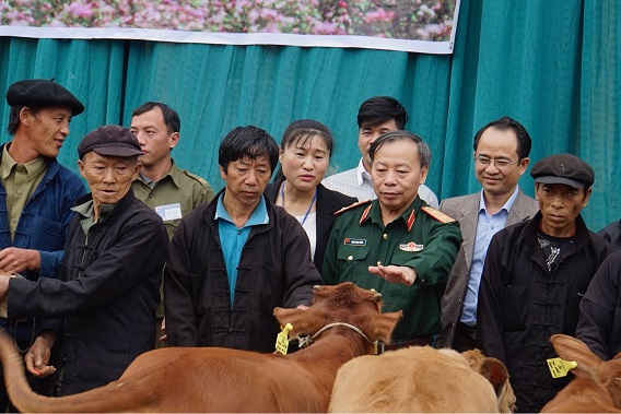 Hội hỗ trợ khắc phục bom mìn Việt Nam trao tặng bò cho nạn nhân bom mìn huyện Đồng Văn (Hà Giang).