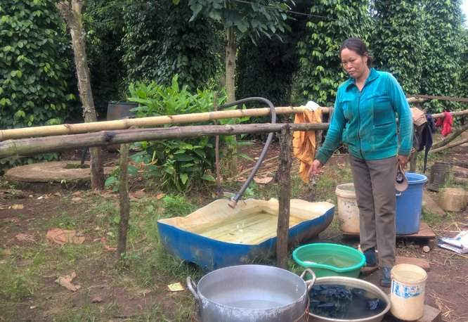 Bà Đặng Thị Hoa – Buôn Cư Yuốt, xã Cư Pơng, huyện Krông Buk lo ngại nước bị ô nhiễm vì gần nhà máy