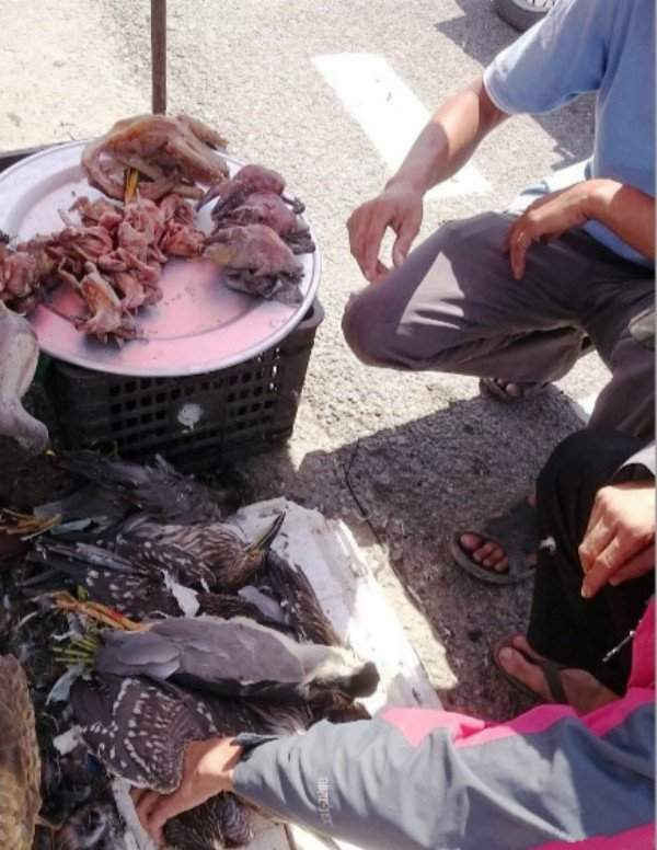Những con chim đã chết, bẫy được ban đêm đang được bán trên QL1A (cánh đồng Thanh Lam)