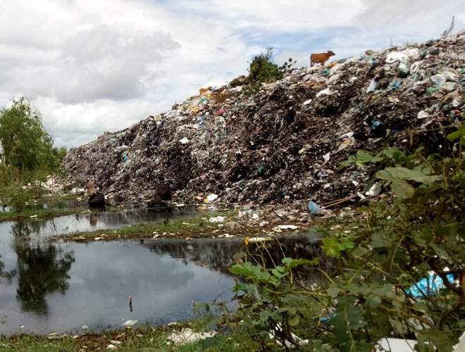 Bãi rác tự phát hơn 10 gây ô nhiễm môi trường