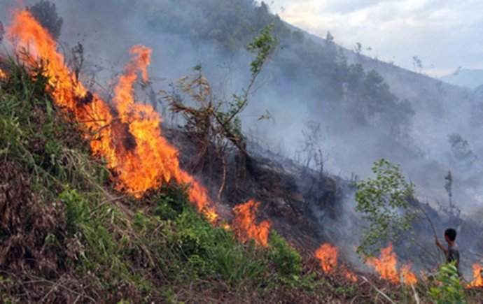 Việc các hộ dân sản xuất và đốt thực bì sau khi khai thác rừng sản xuất tiềm ẩn nhiều nguy cơ cháy lan, gây mất an toàn đối với Nhà máy lọc dầu Dung Quất - công trình trọng điểm quốc gia