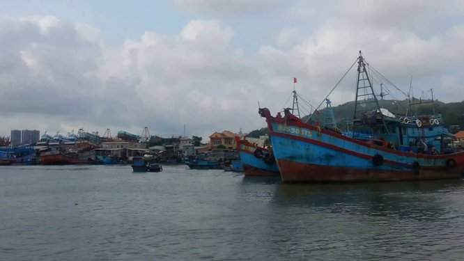 TP.HCM cấm mọi tàu thuyền ra khơi từ 1h ngày 3/11; đồng thời kêu gọi tất cả tàu thuyền vào nơi trú ẩn an toàn