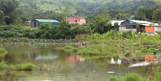 Gần 15ha ruộng, ao của phường Him Lam và Noong Bua luôn trong tình trạng ngập úng