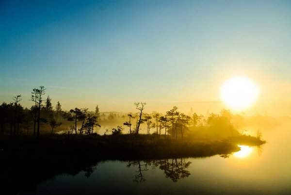 “Buổi sáng trong lành” là hình ảnh ở Kemeri, Latvia do Viktors Ozolins chụp lại.