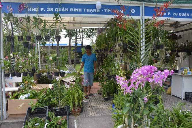 Khách tham quan khu trưng bày hoa lan của nông dân quận Bình Thạnh (TPHCM)