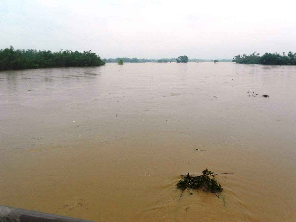 Nước lũ đổ về gây chia cắt cục bộ nhiều nơi ở phường Nhơn Hòa (TX An Nhơn). 