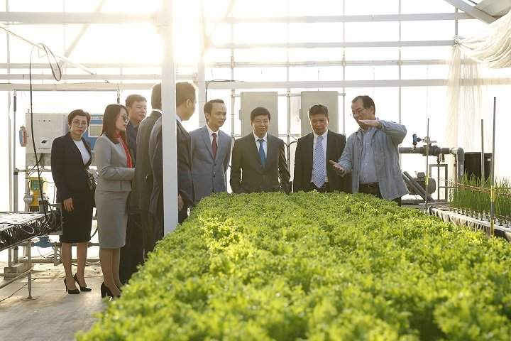 Thăm quan trang trại nông nghiệp ứng dụng công nghệ cao tại Nhật Bản