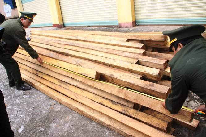 Lực lượng chức năng Quảng Trị bắt giữ một vụ buôn bán, vận chuyển gỗ lậu trái phép