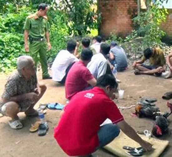 Lực lượng Công an huyện Châu Thành A triệt phá một điểm đá gà ăn tiền trên địa bàn huyện vào tháng 10/2017