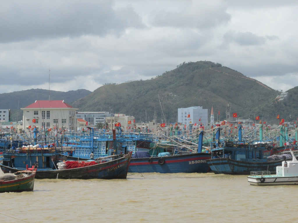 Khu neo đậu tàu thuyền tại Cảng Quy Nhơn 