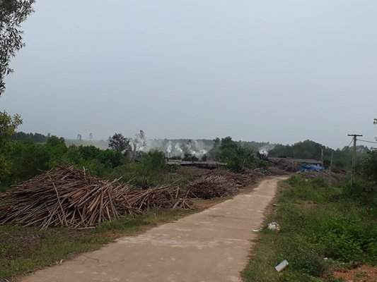 Hai lò than thủ công không phép Thái Thảo ở xóm 7 – Tiến Thành – Xã Quỳnh Thắng đang vô tư nhả khói