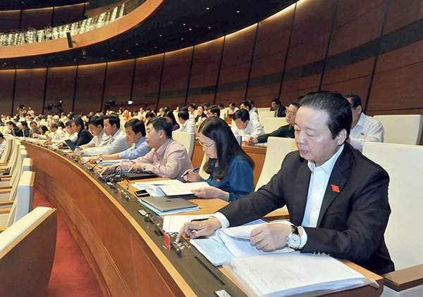 Bộ trưởng Bộ TN&MT Trần Hồng Hà và Đòan ĐBQH tỉnh Bà Rịa - Vũng Tàu biểu quyết thông qua Luật sáng 15/11. Ảnh: Quang Khánh