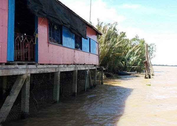 Nhiều nhà dân ven sông cửa Trung, xã Tam Hiệp, huyện Bình Đại, tỉnh Bến Tre có nguy cơ sụp đổ