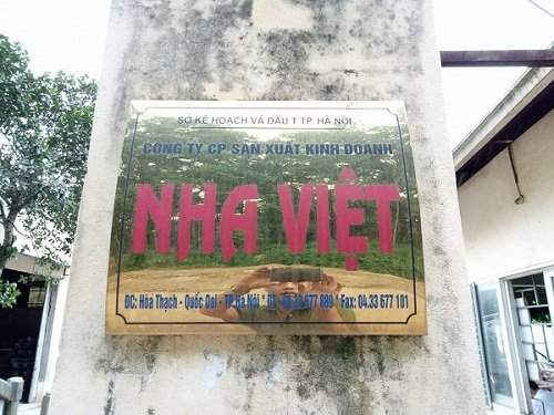 Công ty Nha Việt.