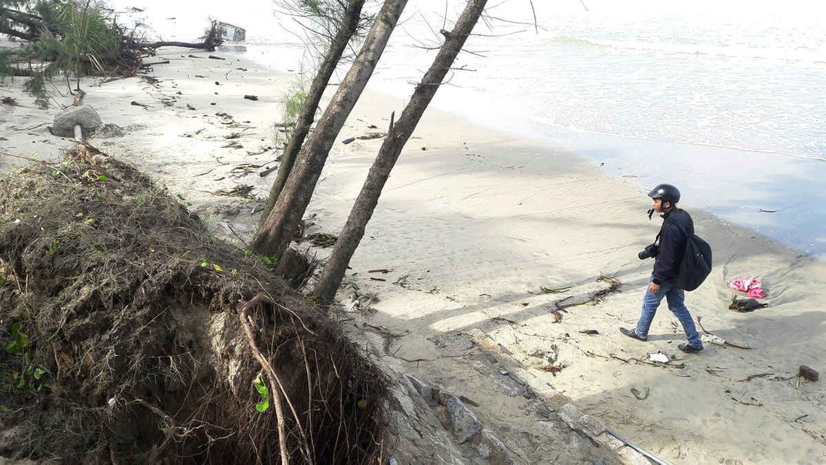 Đoạn bờ biển tại khu vực từ ngân hàng Agribank đến khu resort Tropical đang bị xâm thực sâu vào trong đất liền, có đoạn sóng biển đã cuốn trôi cả một gò đất cao hơn 4m xuống biển