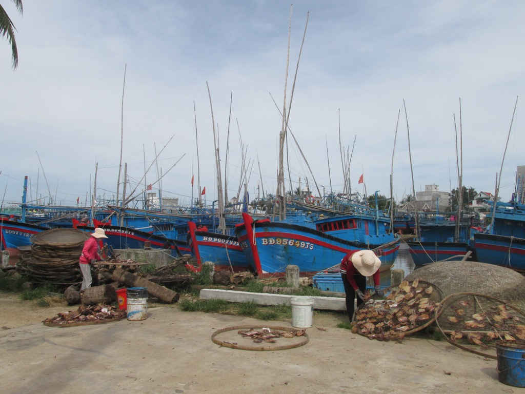 Cảng cá Tam Quan huyện Hoài Nhơn gần khu dân cư thôn Thiện Chánh, xã Tam Quan Bắc, huyện Hoài Nhơn
