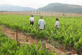 Mô hình trang trại bền vững tại Quảng Bình