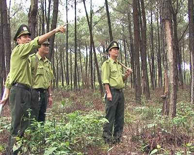 Lực lượng Kiểm lâm Quảng Bình kiểm tra rừng