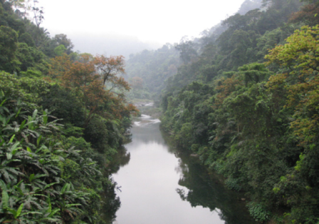 . Rừng phòng hộ Động Châu