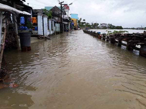 Tuyến tỉnh lộ 636B qua xã Phước Quang (huyện Tuy Phước) nhiều đoạn vẫn còn bị ngập sâu trong nước