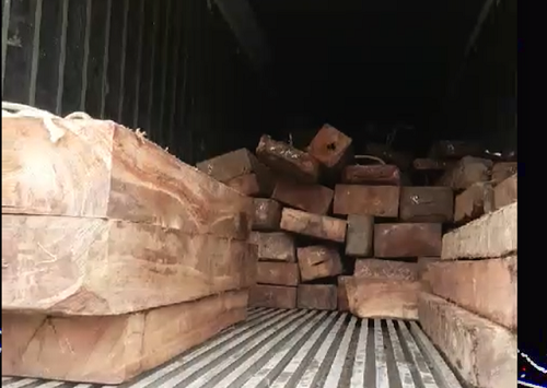 Số gỗ gõ trong thùng xe.
