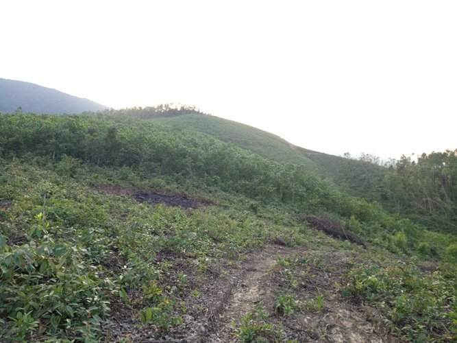 Đất bà Nguyễn Thị Lan bị lấn chiềm gần 10 năm nay