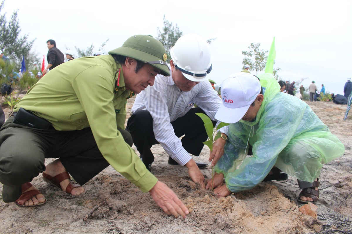Lãnh tỉnh Quảng Nam trồng cây gây rừng ở xã Tam Thăng