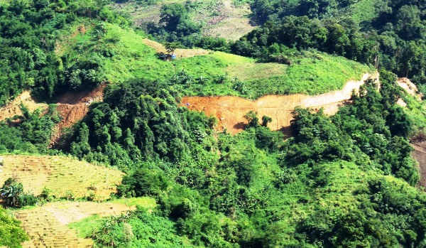 Nhiều diện tích diện tích đất chưa được rà soát để giao hết cho người dân gây lãng phí rất lớn trong sử dụng đất rừng