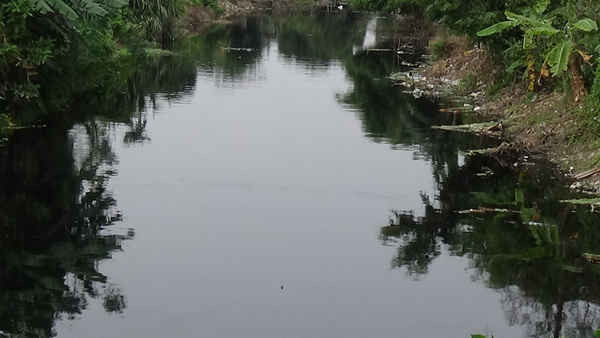 Đoạn kênh A48 chảy qua thị trấn Đồng văn, nguồn nước luôn đen xì, đặc quánh bốc mùi hôi thối