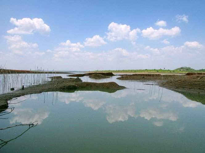 Một số trại chăn nuôi thải trực tiếp nước thải ra hồ nước sinh hoạt Đá Đen, gây bức xúc dư luận