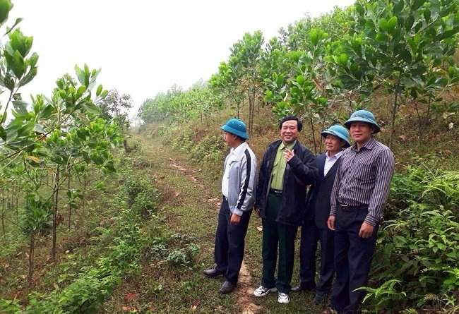 Trọng tâm, Kế hoạch REDD+ của tỉnh Điện Biên sẽ tập trung bảo vệ diện tích rừng hiện có và diện tích rừng tăng thêm hàng năm.