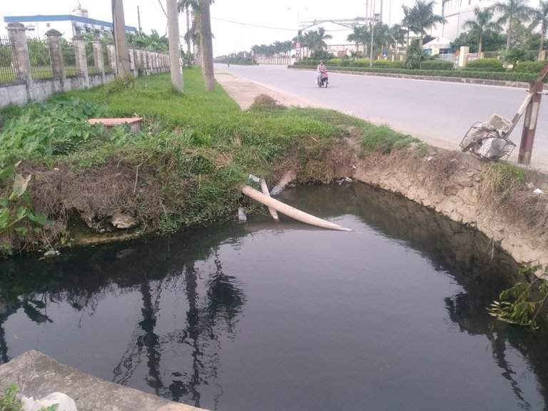 Nguồn nước của thống kênh mương trong KCN Đồng Văn luôn ô nhiễm