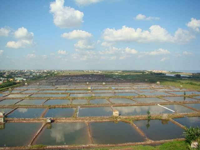 Đầm nuôi thủy sản ở Kim Sơn