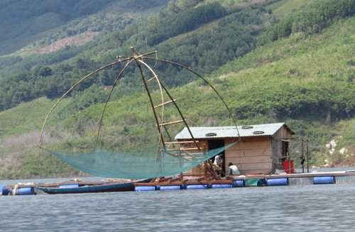 Nuôi cá lồng bè tại lòng hồ thủy điện Sông Tranh 2, huyện Bắc Trà My (Quảng Nam)