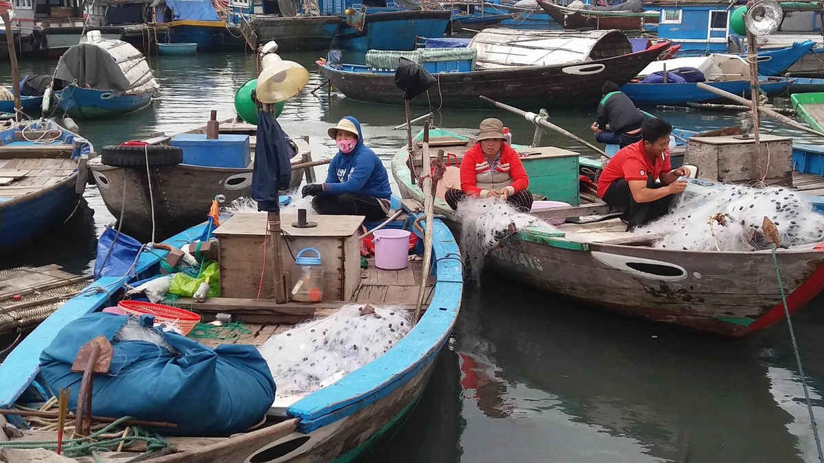 Hoạt động nuôi trồng, đánh bắt thủy hải sản phát triển tương đối tốt