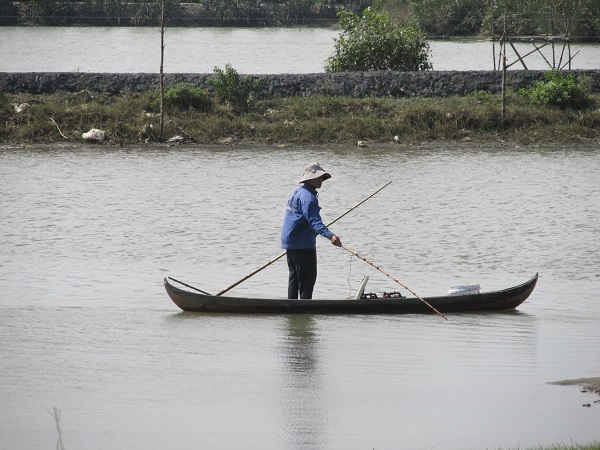 Đánh bắt thủy sản bằng xung điện trên đầm Thị Nại
