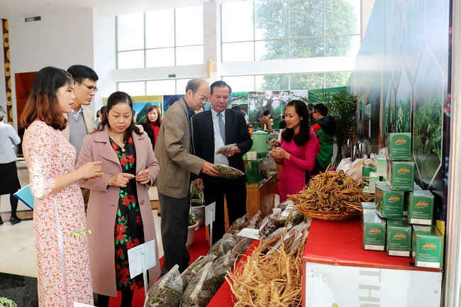Các đại biểu tham dự hội nghị tham quan các gian hàng triển lãm các sản phẩm từ dược liệu