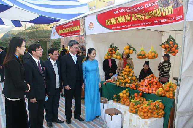 Các đại biểu tham quan gian hàng trưng bày cam của huyện Phù Yên