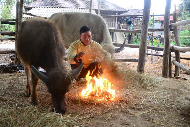 Người dân Điện Biên giữ ấm cho gia súc