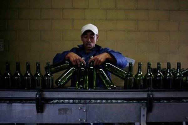 Người công nhân xếp những chai rượu vang lên băng chuyền tại nhà máy đóng chai Rostberg gần Cape Town, Nam Phi vào ngày 29/11/2012. Ảnh: Mike Hutchings