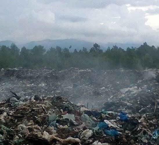 Tăng cường các biện pháp thu gom, xử lý rác đúng nơi quy định tránh gây ô nhiễm môi trường khu vực dân cư