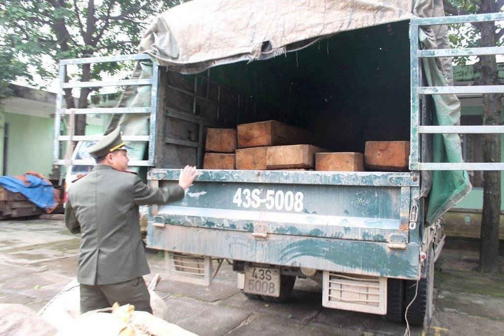 Xe tải BS: 43S-5008 vận chuyển 16 phách gỗ xoan đào