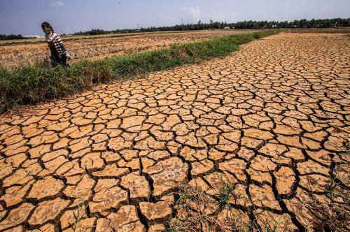 khí hậu cực đoan làm gia tăng khô hạn đất ở nhiều địa phương