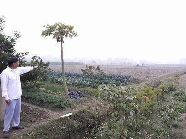 Dân tố sai phạm trong dồn điền đổi thửa tại thôn Bắc Thượng, xã Quang Tiến.