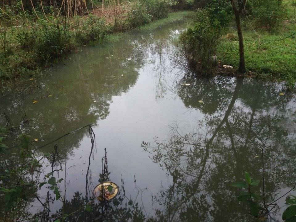 Dòng suối Cầu Đôi chuyển sang màu đen vì ô nhiễm