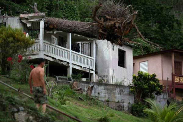 Một người đàn ông đứng gần ngôi nhà bị cây đổ đè lên mái sau khi bão Maria tấn công Utuado, Puerto Rico hồi tháng 9/2017