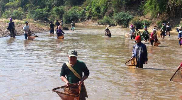 Người dân vớt cá trên suối Nậm Núa, đoạn chảy qua xã Núa Ngam