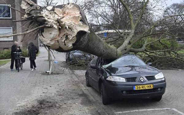 Cảnh bão tàn phá ở Rotterdam, Hà Lan - (Ảnh: Peter Hilz/Dutchnews)