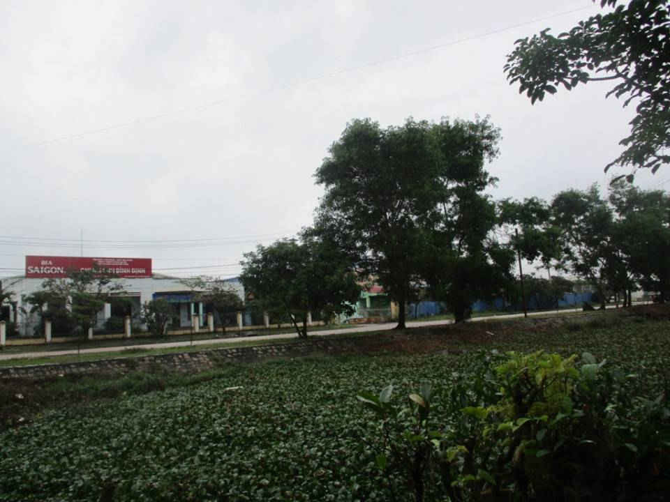 Các doanh nghiệp trong CCN Nhơn Bình nằm gần khu dân cư 