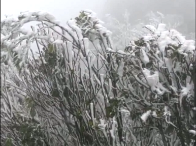 1-Băng tuyết xuất hiện trên đỉnh Mẫu Sơn,UBND tỉnh Lạng Sơn ra công điện khẩn